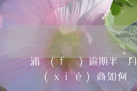 浦發(fā)逾期半個月還是還不上要怎么協(xié)商，如何協(xié)商浦發(fā)銀行信用卡逾期還款問題？